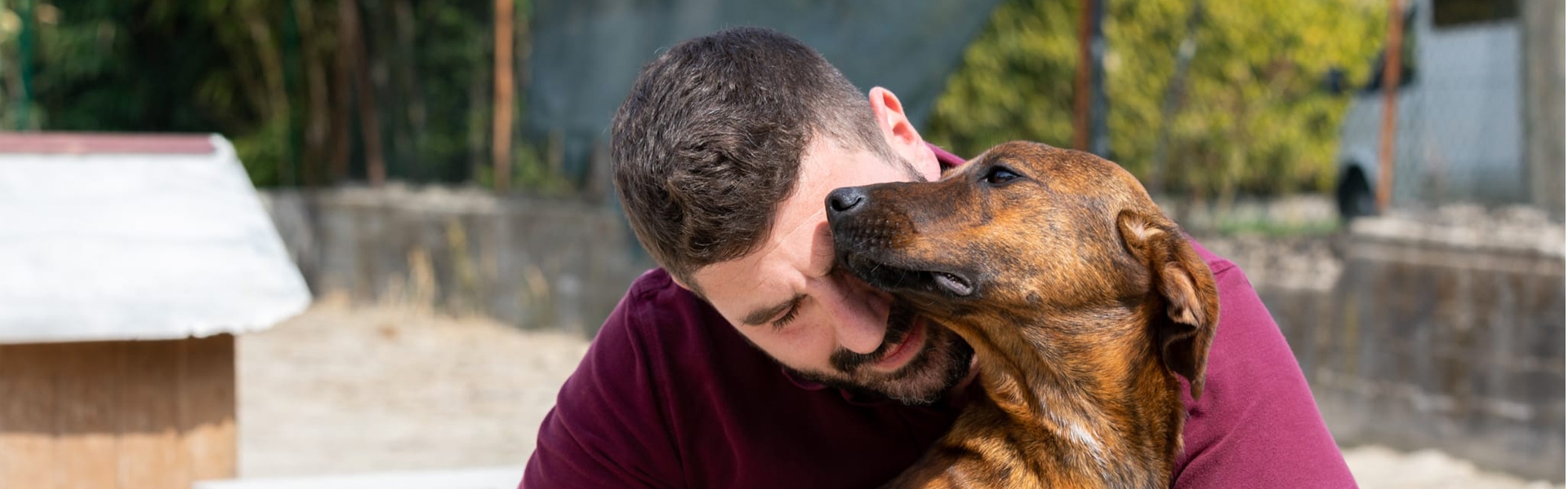 Coccole pet Torino Asilo per animali, Rifugio per animali, Toelettatura, Taxi dog, Incontri amorosi